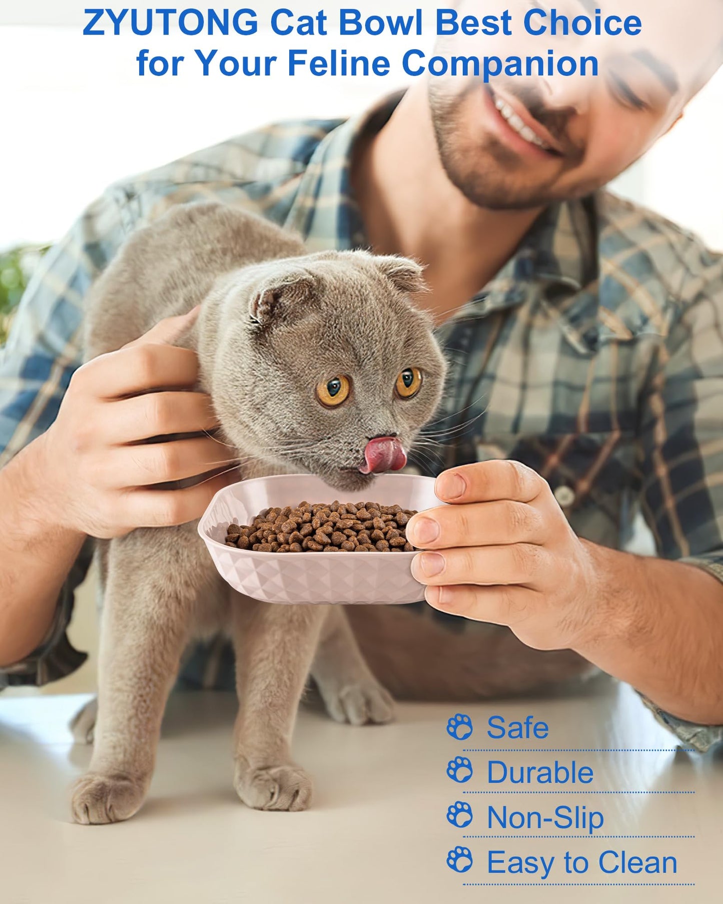 6-Pack Cat Food Bowls, Small Plates for Indoor Cats