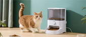 Best Automatic Cat Feeders for Busy Owners in 2025