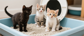 How Often Should You Change Cat Litter?