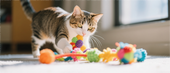 Best Cat Toys for Indoor Cats in 2025