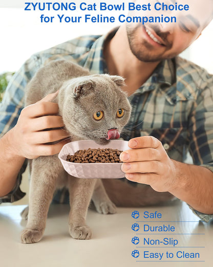 6-Pack Cat Food Bowls, Small Plates for Indoor Cats