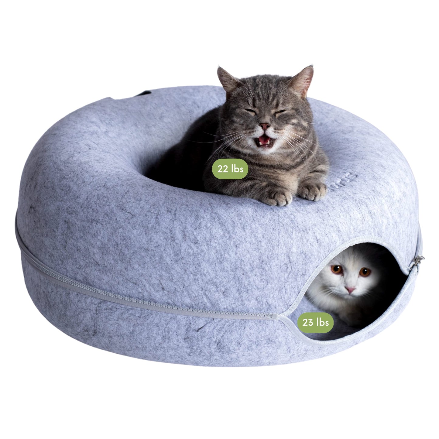 Cat Cave for Multiple & Large Cats