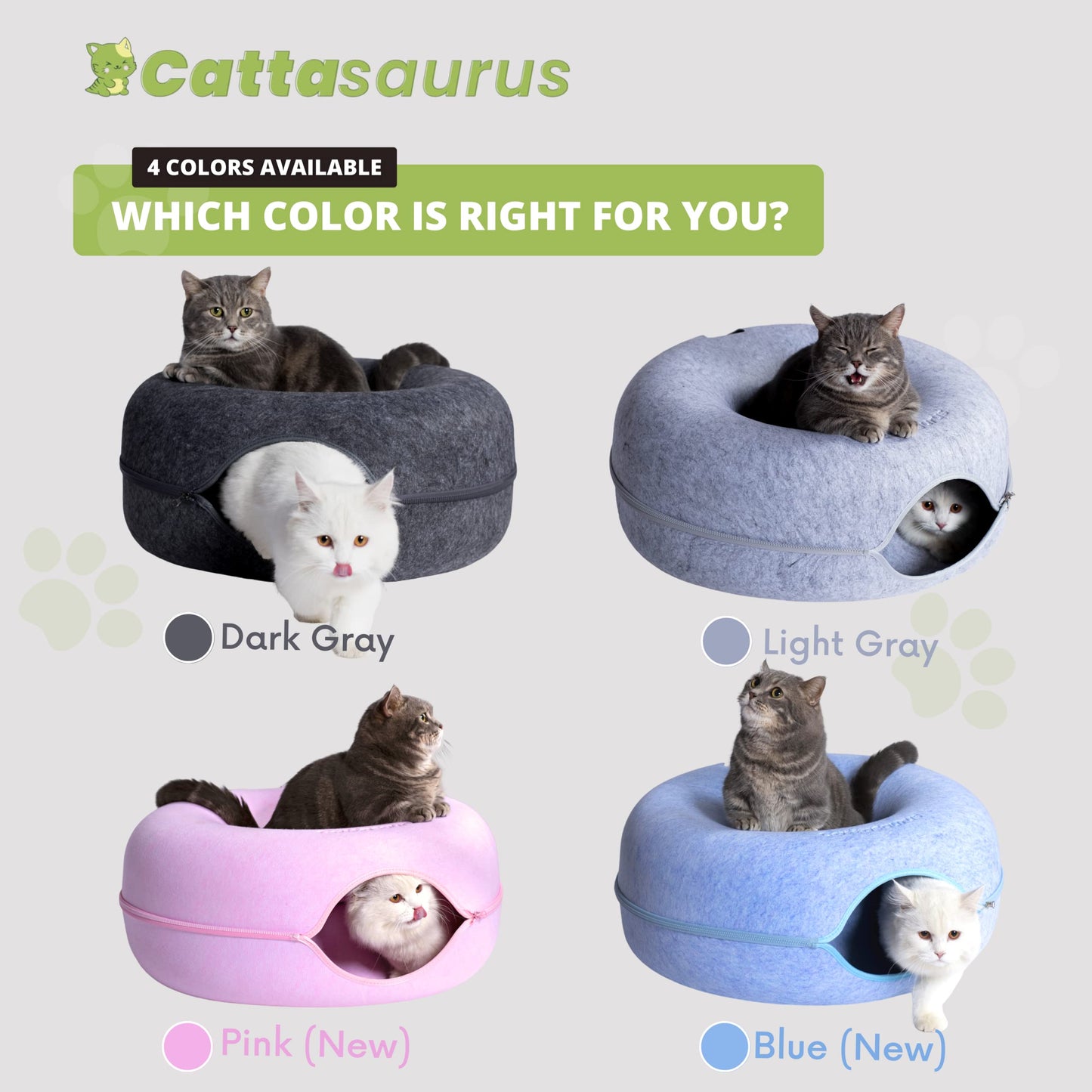 Cat Cave for Multiple & Large Cats