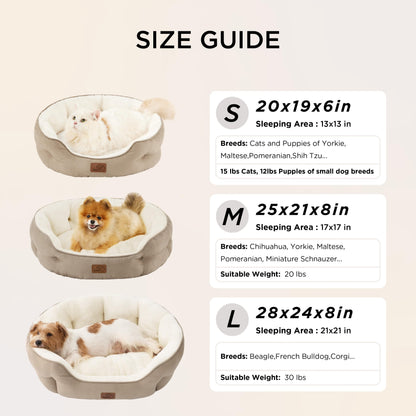 Cat Beds for Indoor Cats